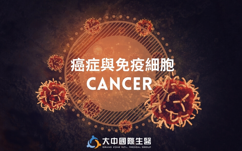 認識癌症腫瘤與免疫細胞